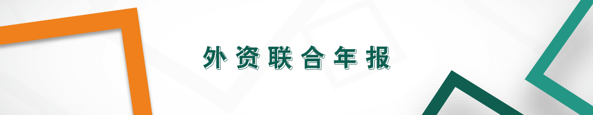 外資聯(lián)合年報