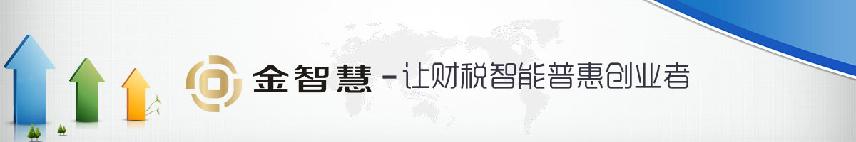 金智慧財(cái)稅服務(wù)